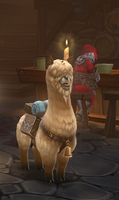 Alpaca Pet