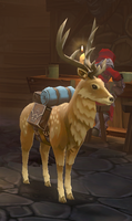 Stag Pet